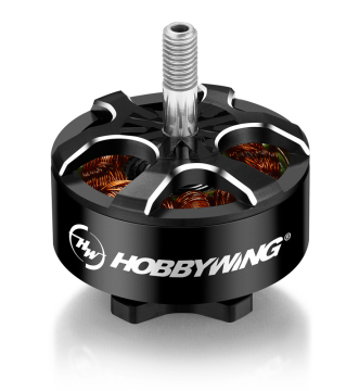 Hobbywing Xrotor FPV Motor 3110 900kV 6S i gruppen RADIOSTYRDA FLYG / Drönare / FPV-Utrustning hos Rynosx4 Hobbyshop AB (HW30418005)