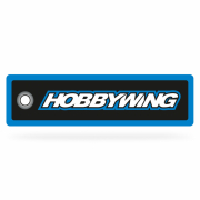 Hobbywing Nyckelring "Tag" 95x25mm